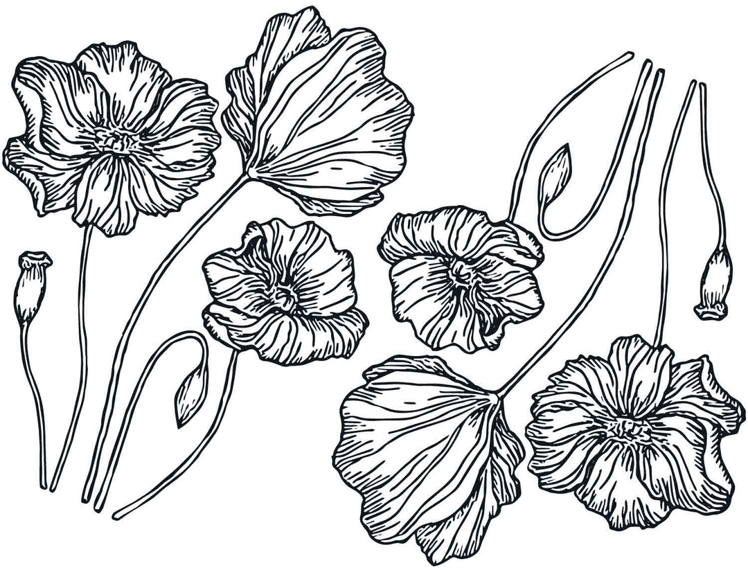 Décalcomanies Coquelicot - Céramique Cône 017 - Verre fusionné - Émail