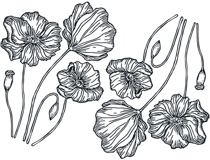 Décalcomanies Coquelicot - Céramique Cône 017 - Verre fusionné - Émail