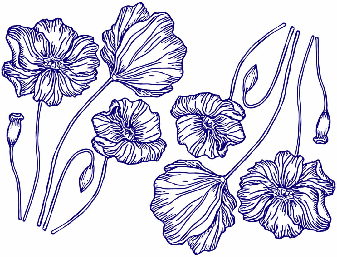 Coquelicots Fleur Coquelicot La - Photo gratuite sur Coquelicots Fleur Coquelicot La - Photo gratuite sur