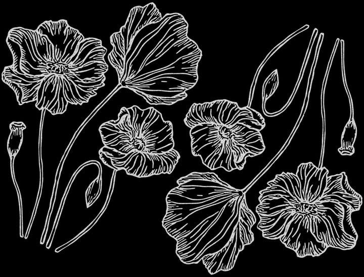 Décalcomanies Coquelicot - Céramique Cône 017 - Verre fusionné - Émail