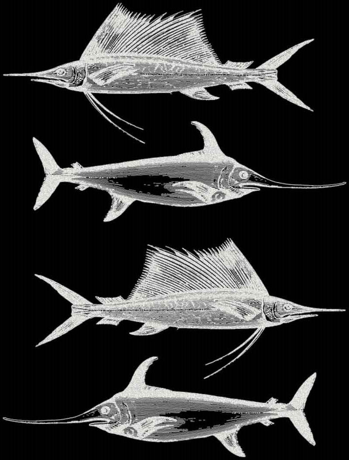 Décalcomanies Espadon voilier - Céramique Cône 017 - Fusionné - Émail