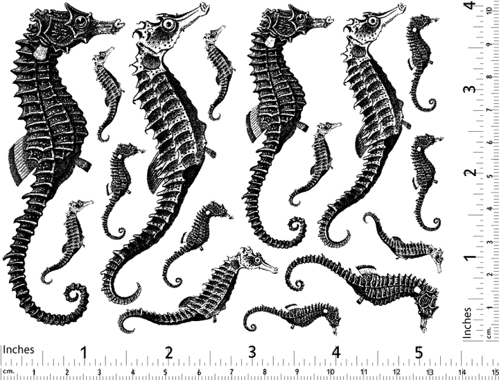 Décalcomanies Hippocampe - Verrerie - Émail