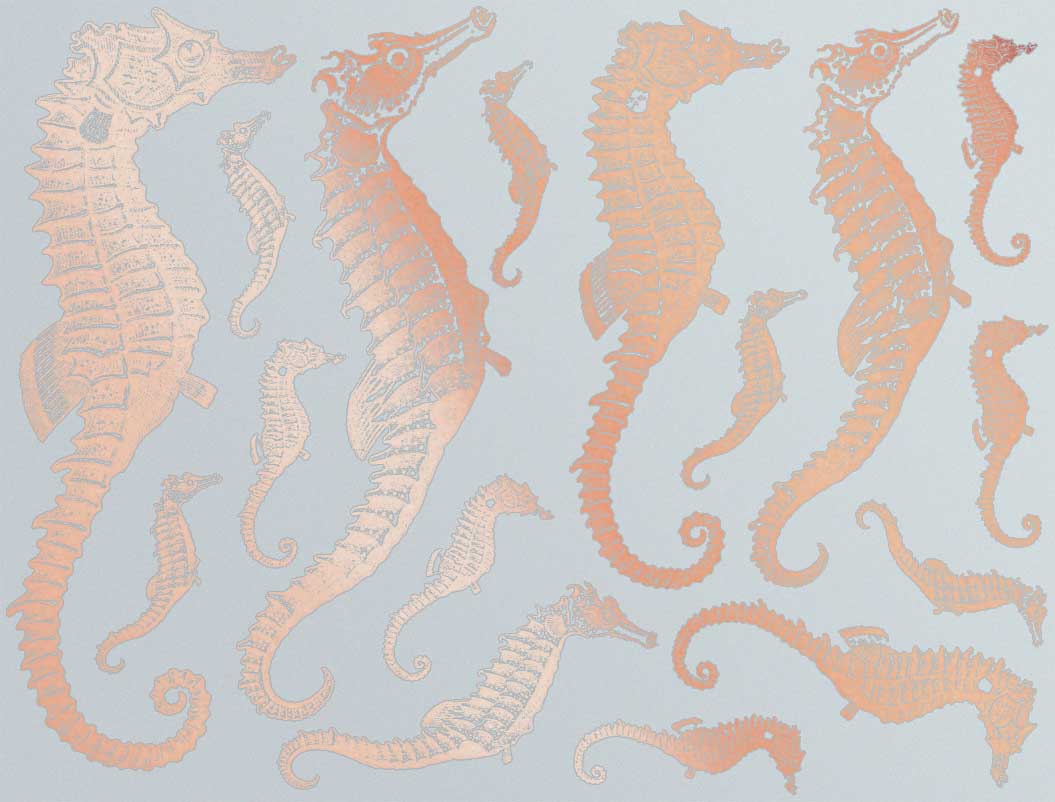 Décalcomanies Hippocampe - Verrerie - Émail