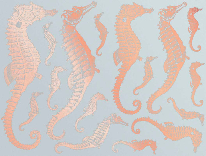 Décalcomanies Hippocampe - Verrerie - Émail