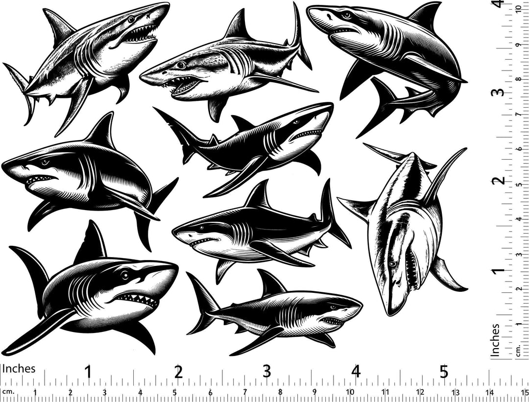 Décalcomanies Requin - Céramique Cône 017 - Verre fusionné - Émail