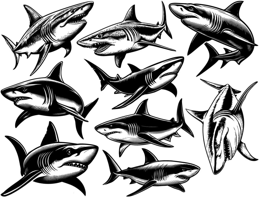 Décalcomanies Requin - Céramique Cône 017 - Verre fusionné - Émail