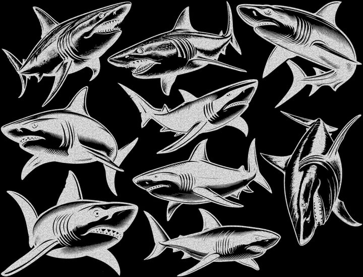 Décalcomanies Requin - Céramique Cône 017 - Verre fusionné - Émail