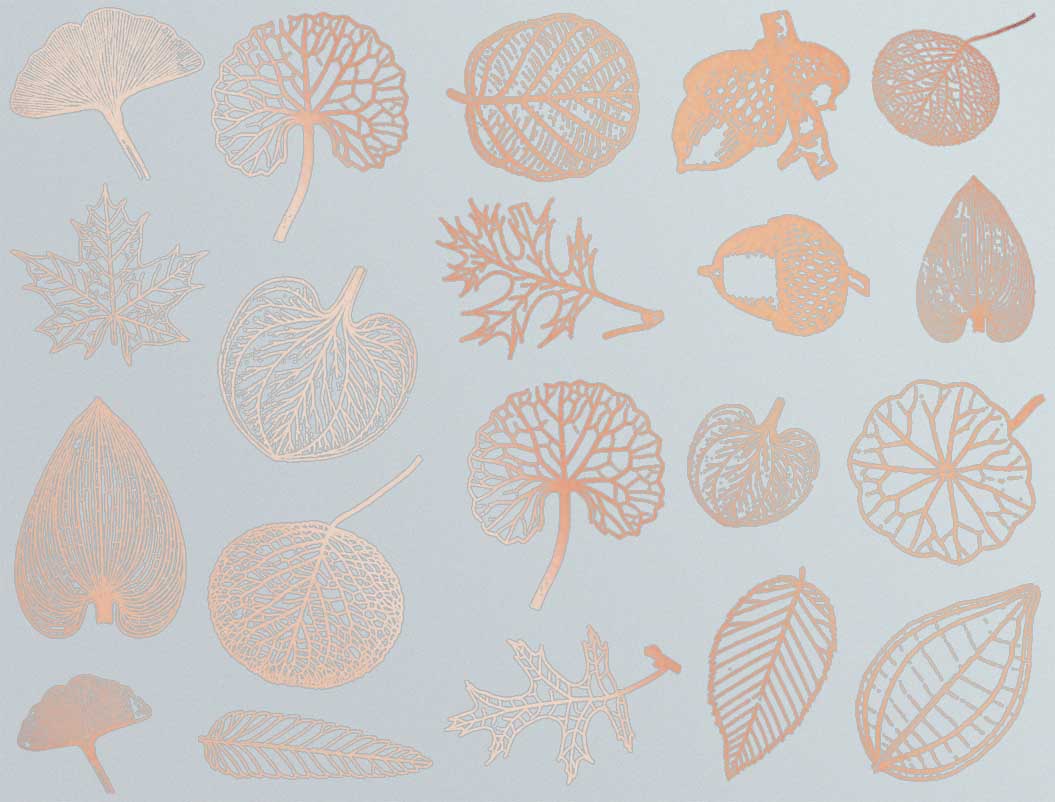 Décalcomanies de petites feuilles - Verrerie - Émail