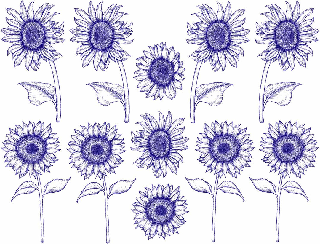 Décalcomanies Tournesol - Céramique Cône 017 - Verre fusionné - Émail