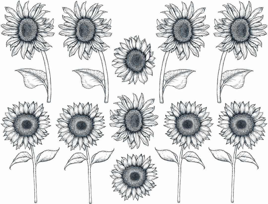 Décalcomanies Tournesol - Céramique Cône 017 - Verre fusionné - Émail