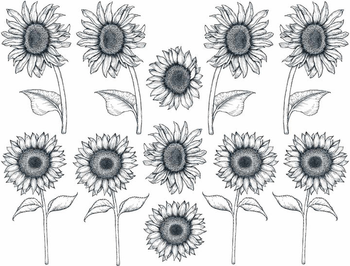 Décalcomanies Tournesol - Céramique Cône 017 - Verre fusionné - Émail