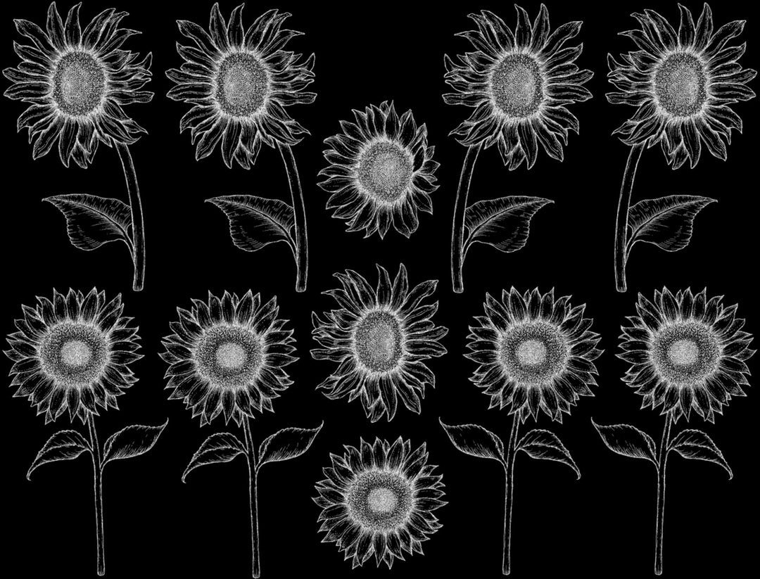 Décalcomanies Tournesol - Céramique Cône 017 - Verre fusionné - Émail