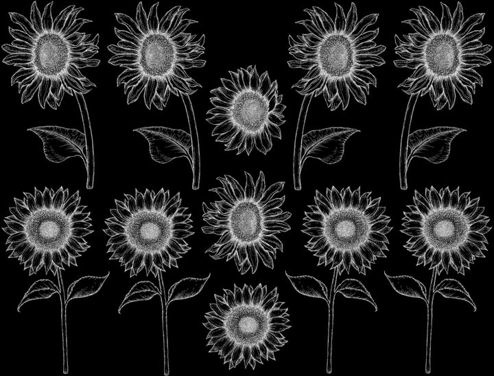 Décalcomanies Tournesol - Céramique Cône 017 - Verre fusionné - Émail