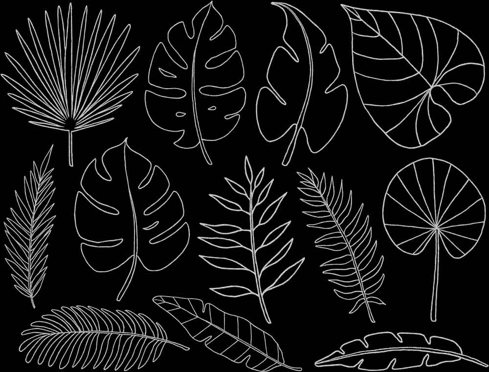 Décalcomanies Feuilles Tropicales - Céramique Cône 017 - Verre Fusionné - Émail