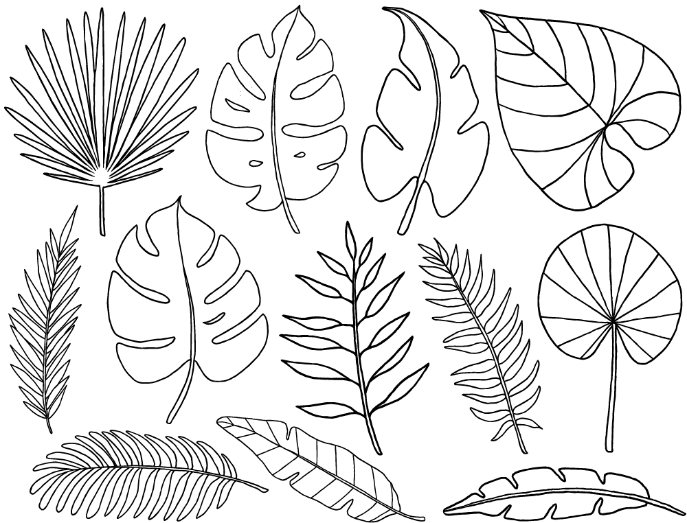 Décalcomanies Feuilles Tropicales - Céramique Cône 017 - Verre Fusionné - Émail