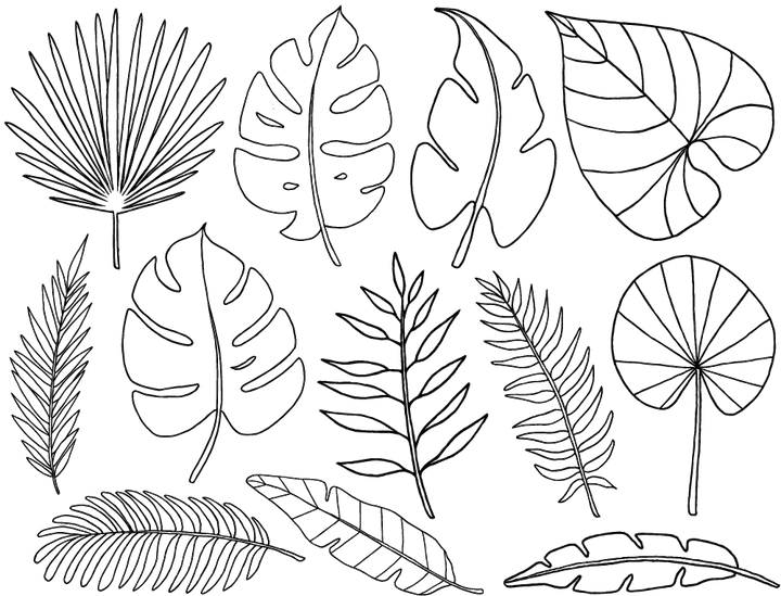 Décalcomanies Feuilles Tropicales - Céramique Cône 017 - Verre Fusionné - Émail