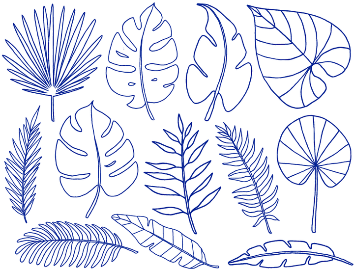 Décalcomanies Feuilles Tropicales - Céramique Cône 017 - Verre Fusionné - Émail