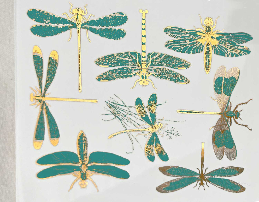 Décalcomanies libellules bicolores - Céramique Cône 017 - Verre fusionné - Émail