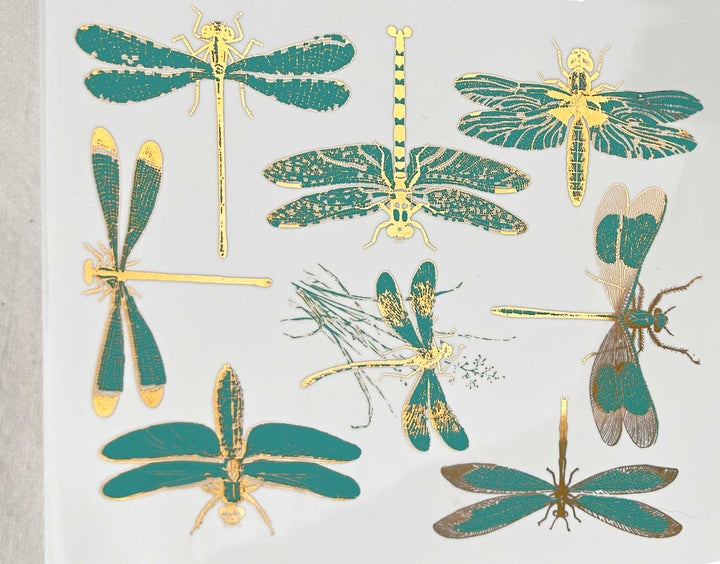 Décalcomanies libellules bicolores - Céramique Cône 017 - Verre fusionné - Émail