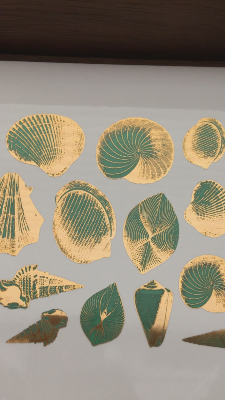 Décalcomanies de coquillages bicolores - Céramique Cône 017 - Verre fusionné - Émail