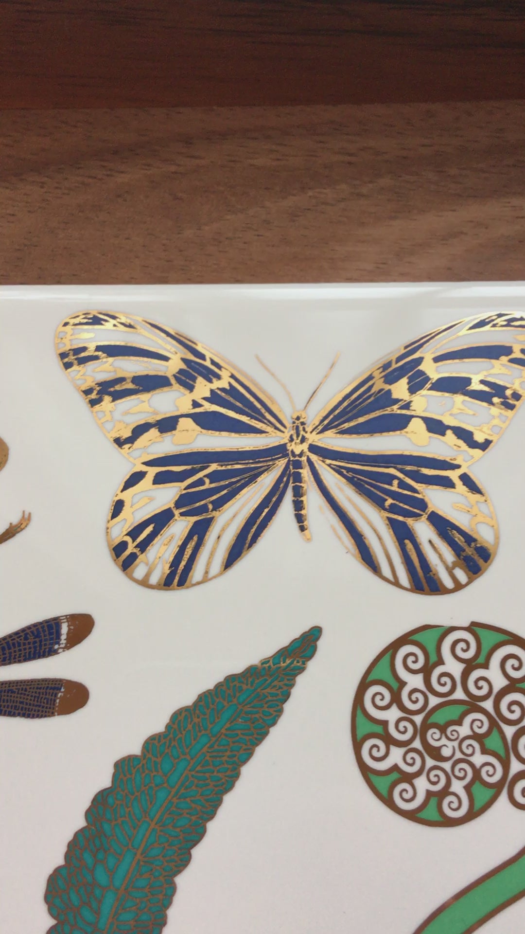 Two-Color Large Butterfly Decals - Ceramic Cone 017 - Fused Glass - Enamel