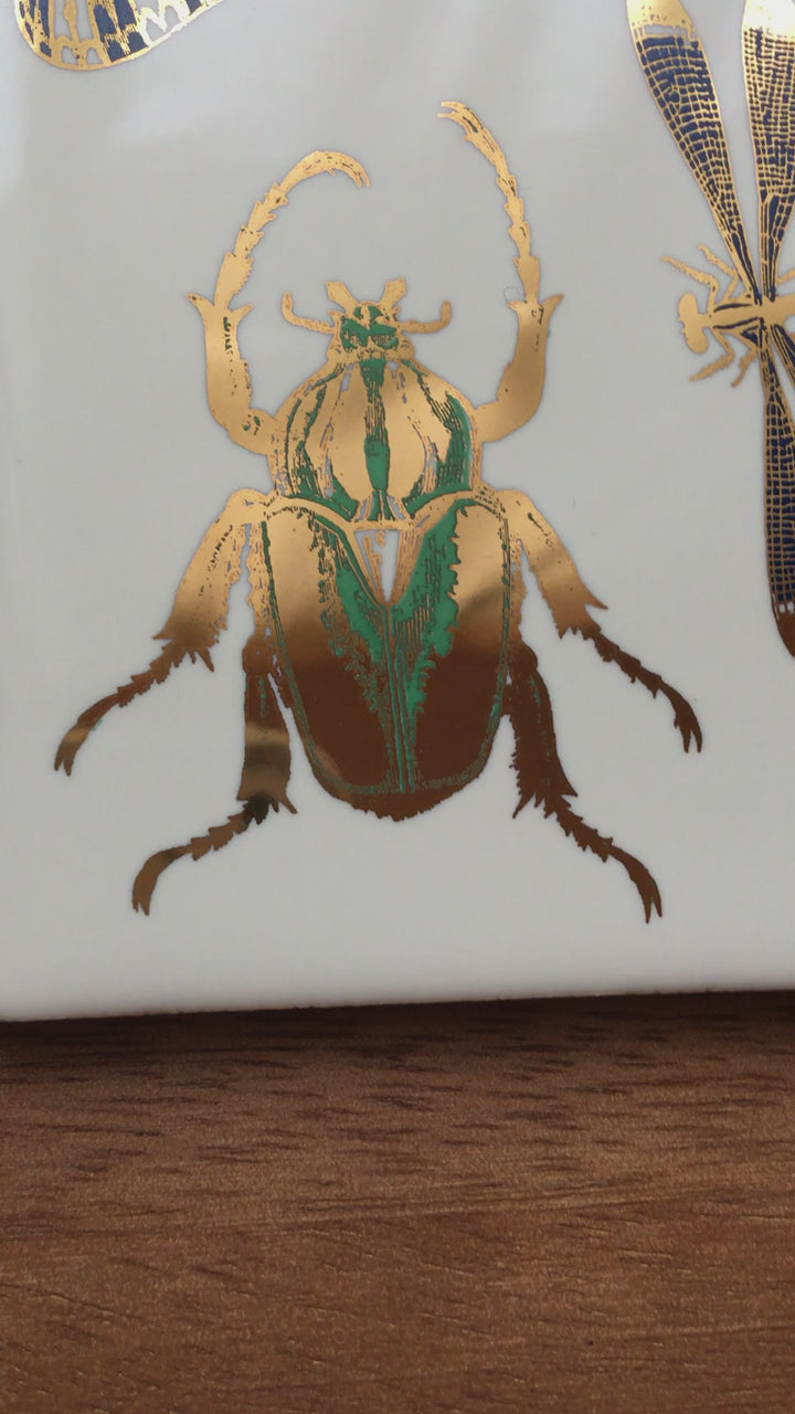 Grandes décalcomanies de scarabée bicolores - Céramique Cône 017 - Verre fusionné - Émail