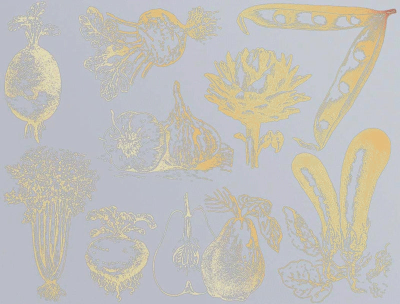 Vintage Vegetable Decals - Ceramic Cone 017 - Fused Glass - Enamel