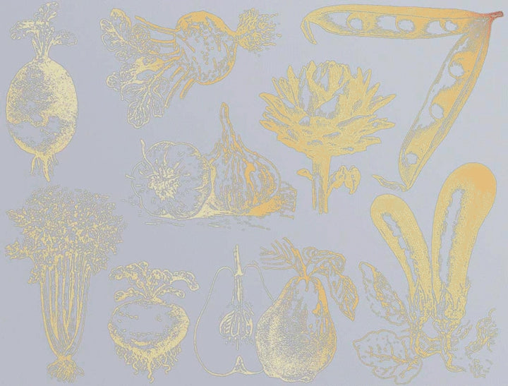 Vintage Vegetable Decals - Ceramic Cone 017 - Fused Glass - Enamel