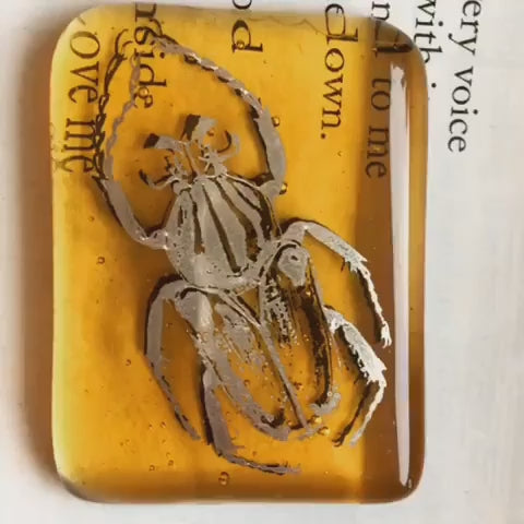 Décalcomanies d'insectes mixtes - Céramique Cône 017 - Verre fusionné - Émail