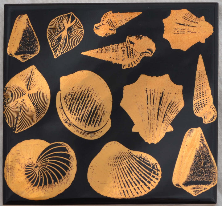 Décalcomanies Coquillage - Céramique Cône 017 - Verre fusionné - Émail