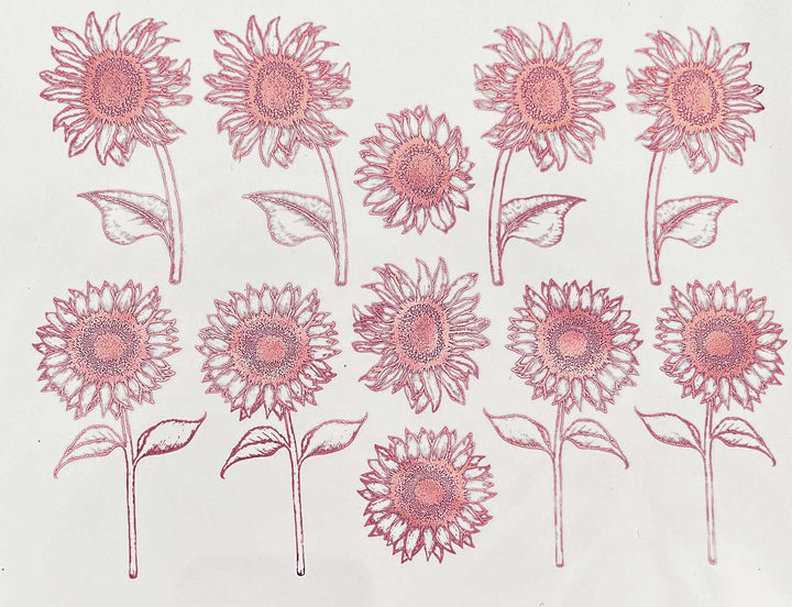 Décalcomanies Tournesol - Céramique Cône 017 - Verre fusionné - Émail