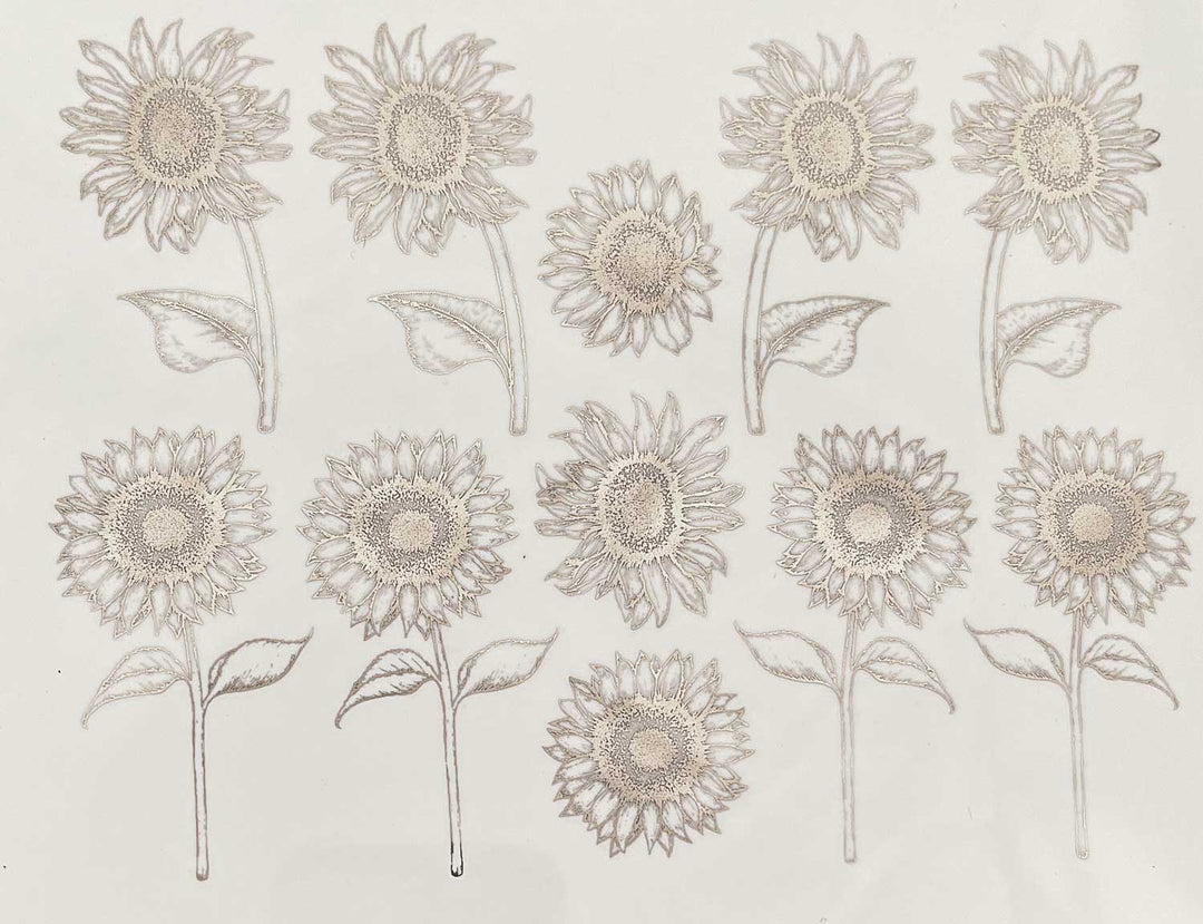 Décalcomanies Tournesol - Céramique Cône 017 - Verre fusionné - Émail