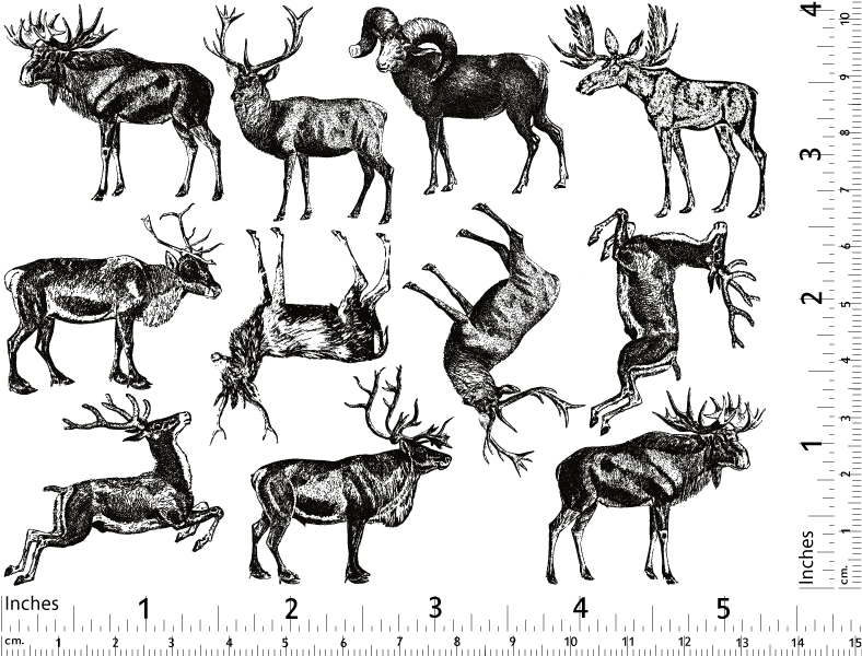 Décalcomanies d'animaux à bois - Verrerie - Émail