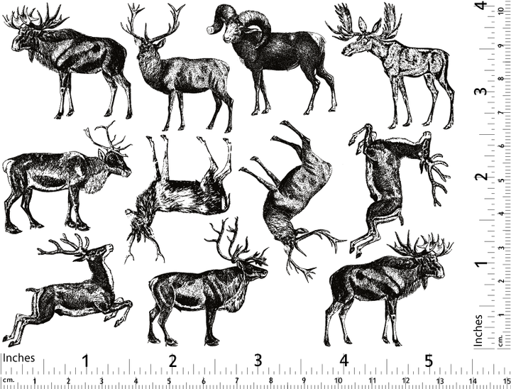 Décalcomanies d'animaux à bois - Verrerie - Émail