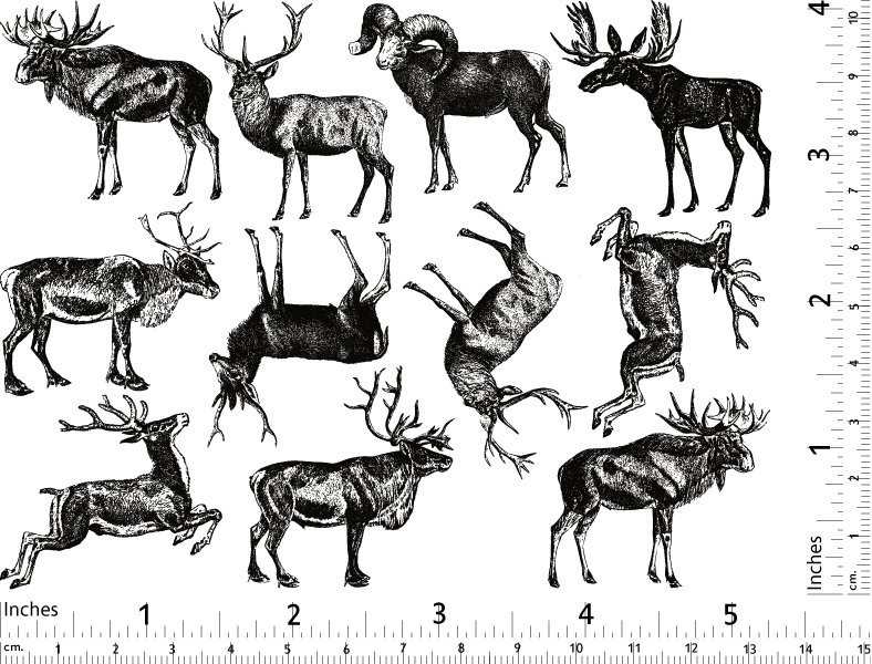 Décalcomanies d'animaux à bois de cerf - Céramique Cône 017 - Verre fusionné - Émail