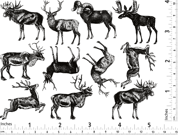Décalcomanies d'animaux à bois de cerf - Céramique Cône 017 - Verre fusionné - Émail