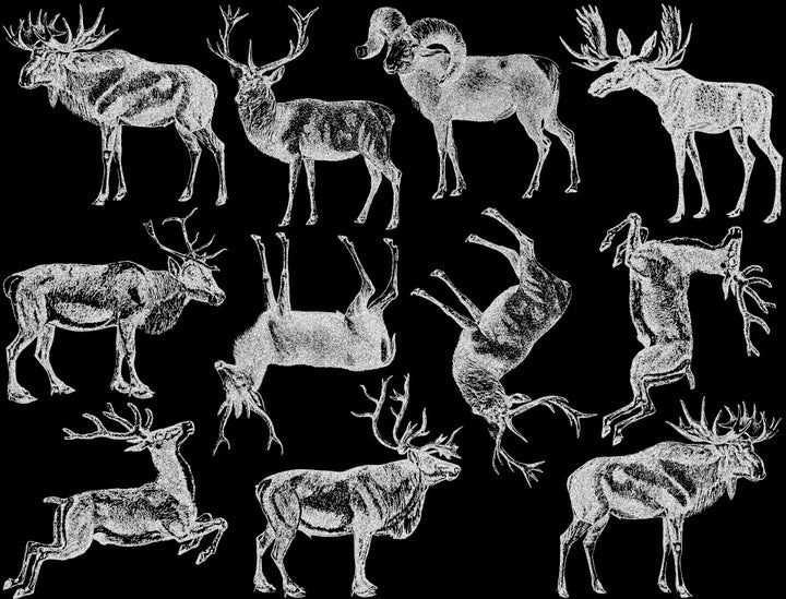 Décalcomanies d'animaux à bois - Verrerie - Émail