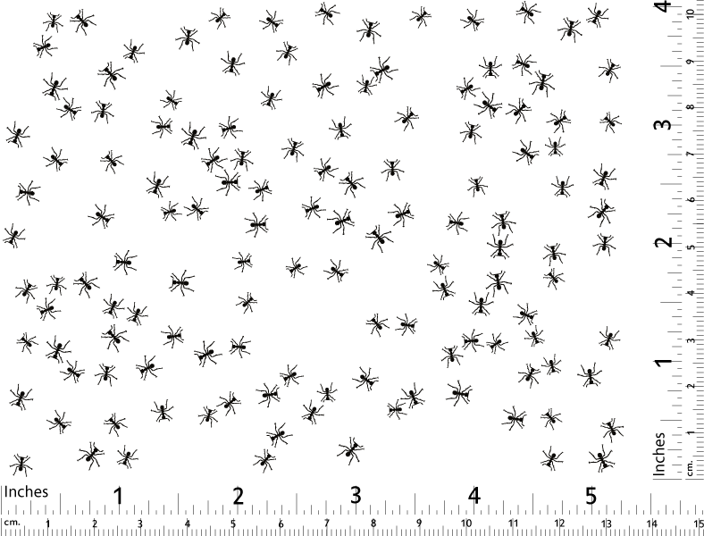 Ant Decals  - Cone 017 - Fused Glass 