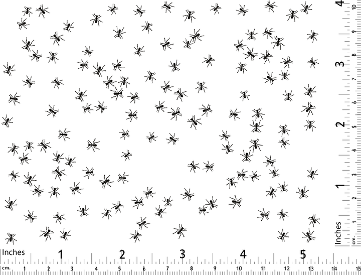 Ant Decals  - Cone 017 - Fused Glass 