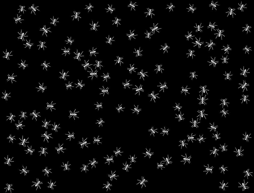 Décalcomanies Fourmi - Céramique Cône 017 - Verre fusionné - Émail