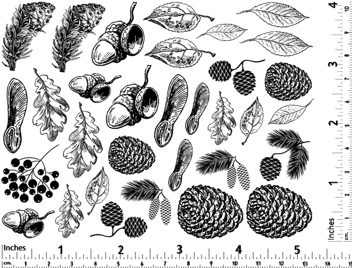 Décalcomanies Nature d'automne - Céramique Cône 017 - Verre fusionné - Émail