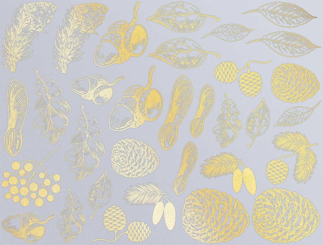 Décalcomanies Nature d'automne - Céramique Cône 017 - Verre fusionné - Émail