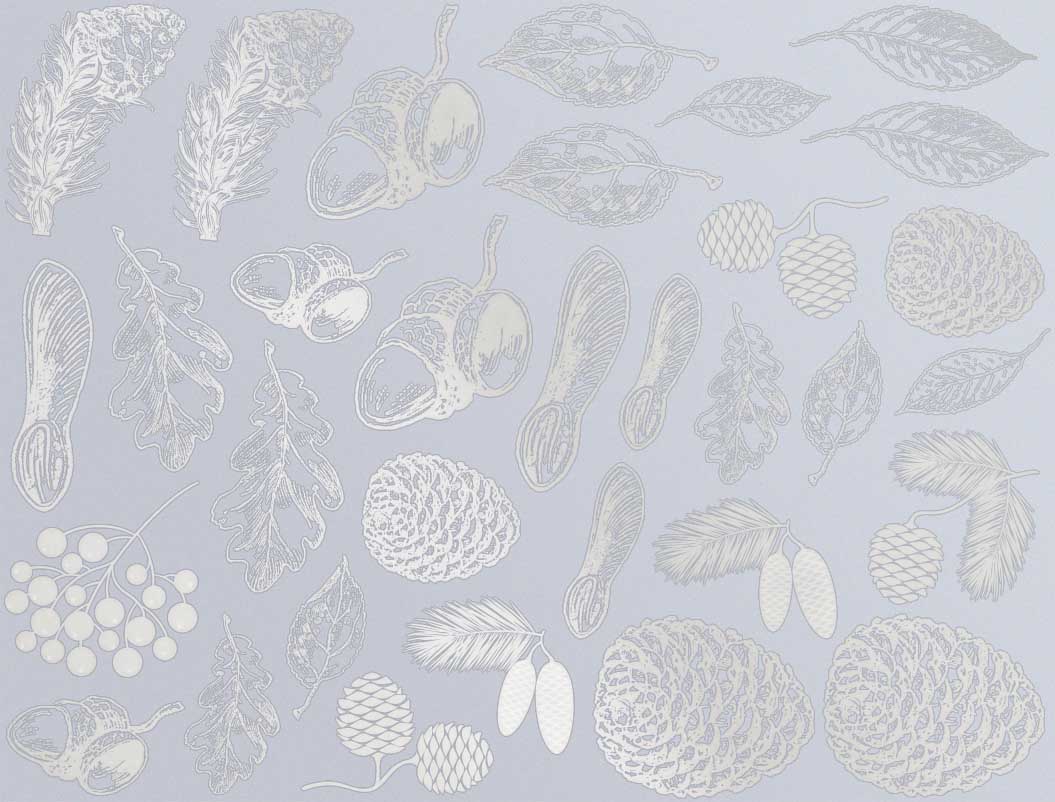 Décalcomanies Nature d'automne - Céramique Cône 017 - Verre fusionné - Émail