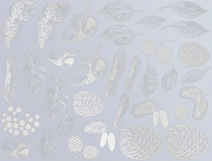 Décalcomanies Nature d'automne - Céramique Cône 017 - Verre fusionné - Émail