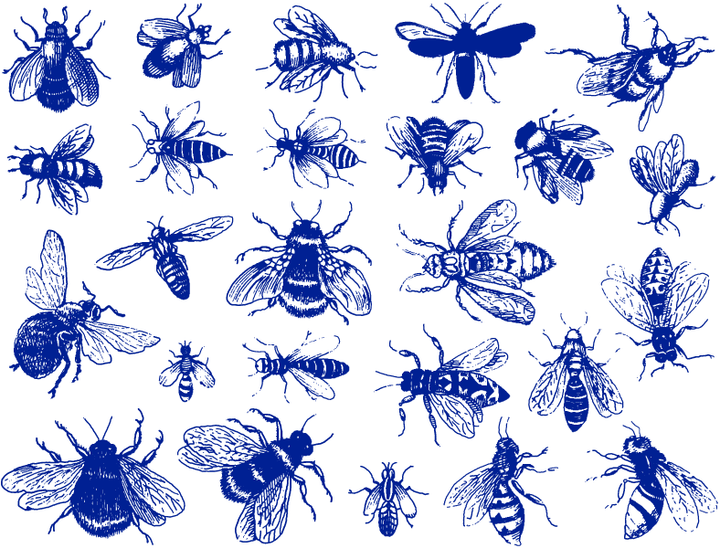 Décalcomanies Abeilles Vintage - Céramique Cône 6 - En-glaçure