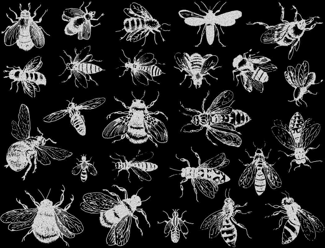 Décalcomanies Abeilles vintage - Cône 017 - Verre fusionné - Émail