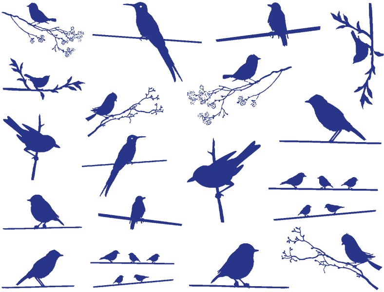 Décalcomanies Oiseaux sur un fil - Céramique Cône 6 - En-glaçure