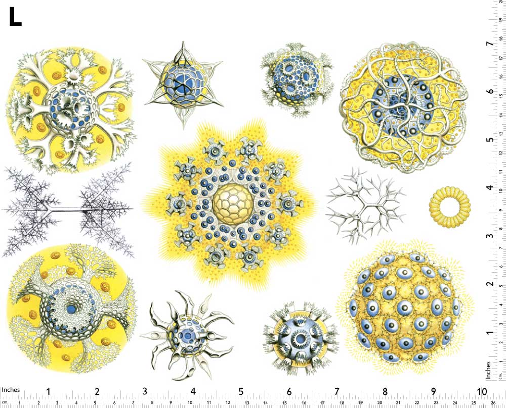 Décalcomanies de créatures marines bleues/jaunes - Non adapté pour Produits Alimentaires - Céramique Cône 017 - Verre fusionné - Émail