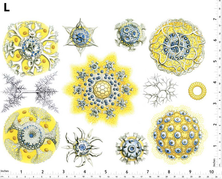 Décalcomanies de créatures marines bleues/jaunes - Non adapté pour Produits Alimentaires - Céramique Cône 017 - Verre fusionné - Émail