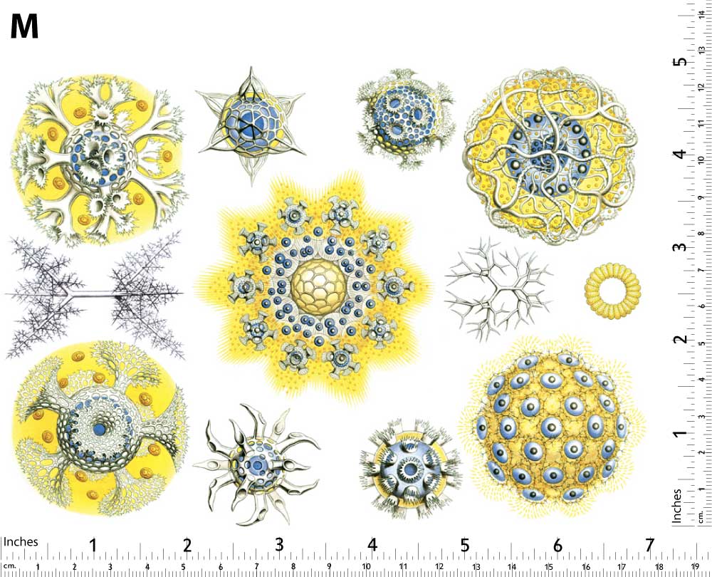 Décalcomanies de créatures marines bleues/jaunes - Non adapté pour Produits Alimentaires - Céramique Cône 017 - Verre fusionné - Émail